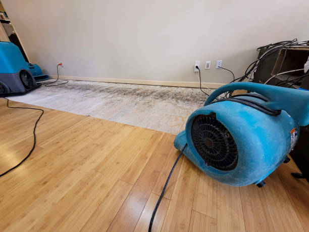 Professional Basement Flood Cleanup technician working in Beltsville, MD